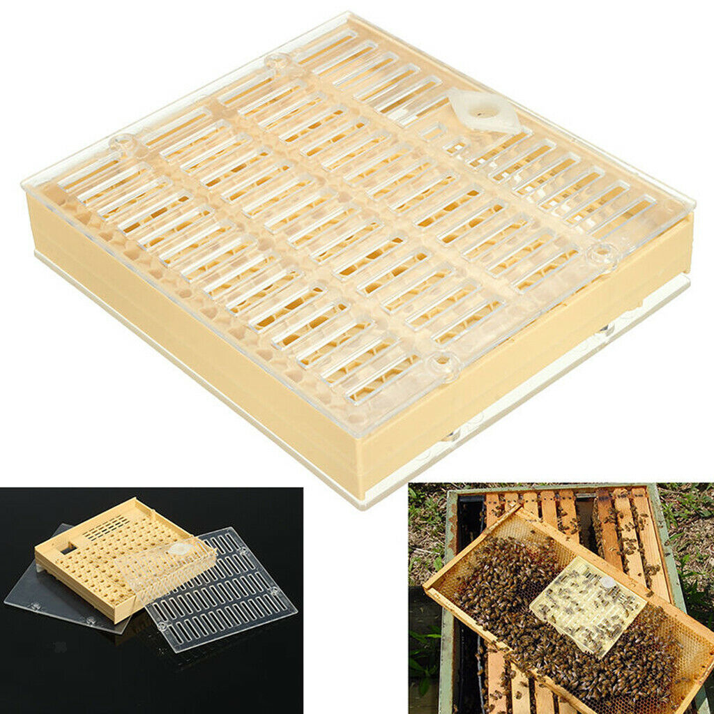 Cage Function Bee Queen Matchbox Movement Tool Beekeeping Collector with 100
