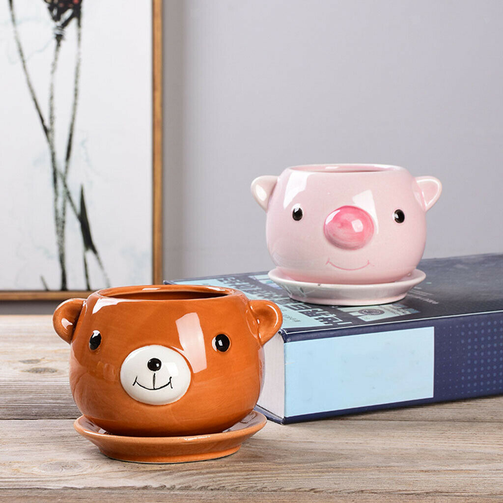 Cartoon Cute Succulent Pots Flower Pot Cactus Bonsai Plants Planter Home Pig