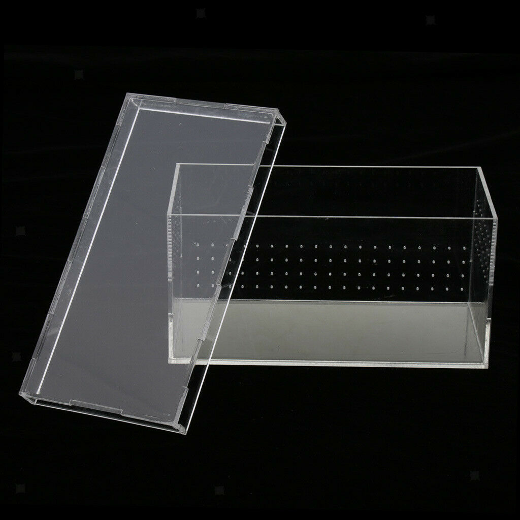 Acrylic Reptiles Terrarium Container Ideal for Reptiles or Amphibians ,Clear,