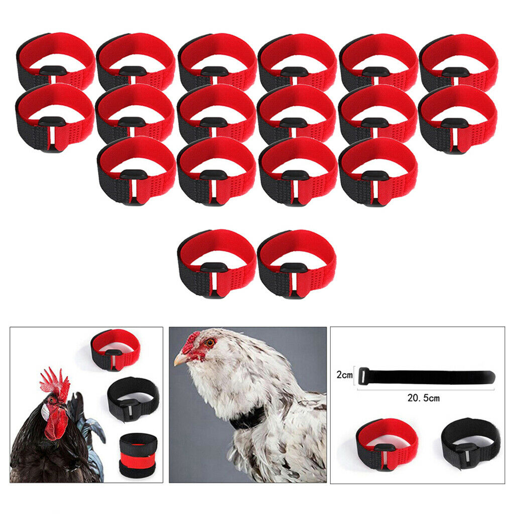 Set of 18 Chicken Collar Prevent Chicken from Screaming for Poultry Duck