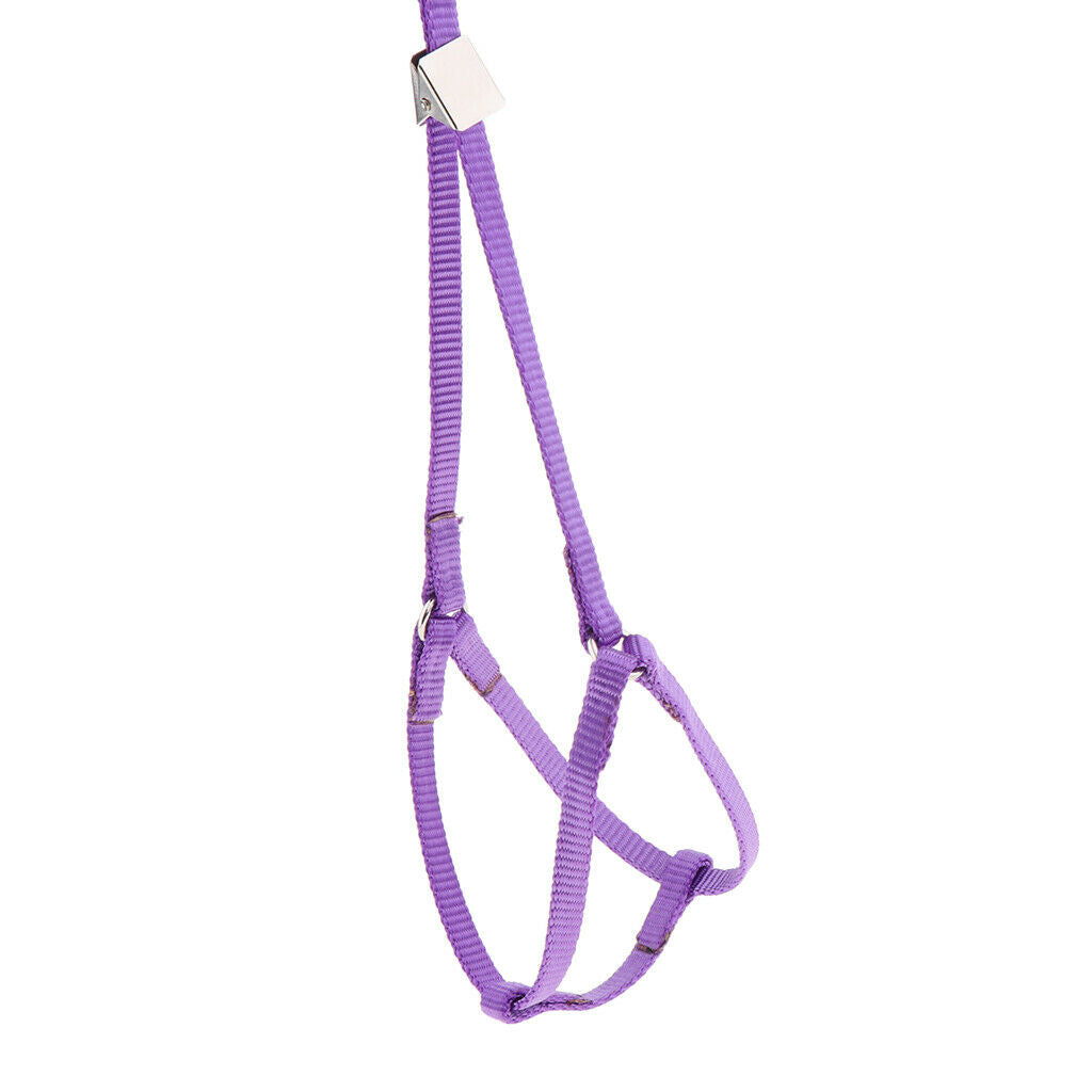 Outdoor Parrot Rope Pet Leash Adjustable Bird Harness S Purple