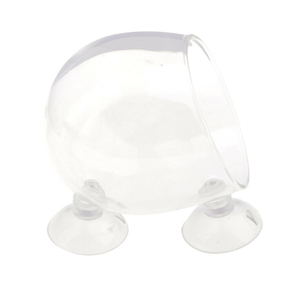 Transparent Aquatic Plants Pot Holder Plants Holder For Fish Planted Tanks