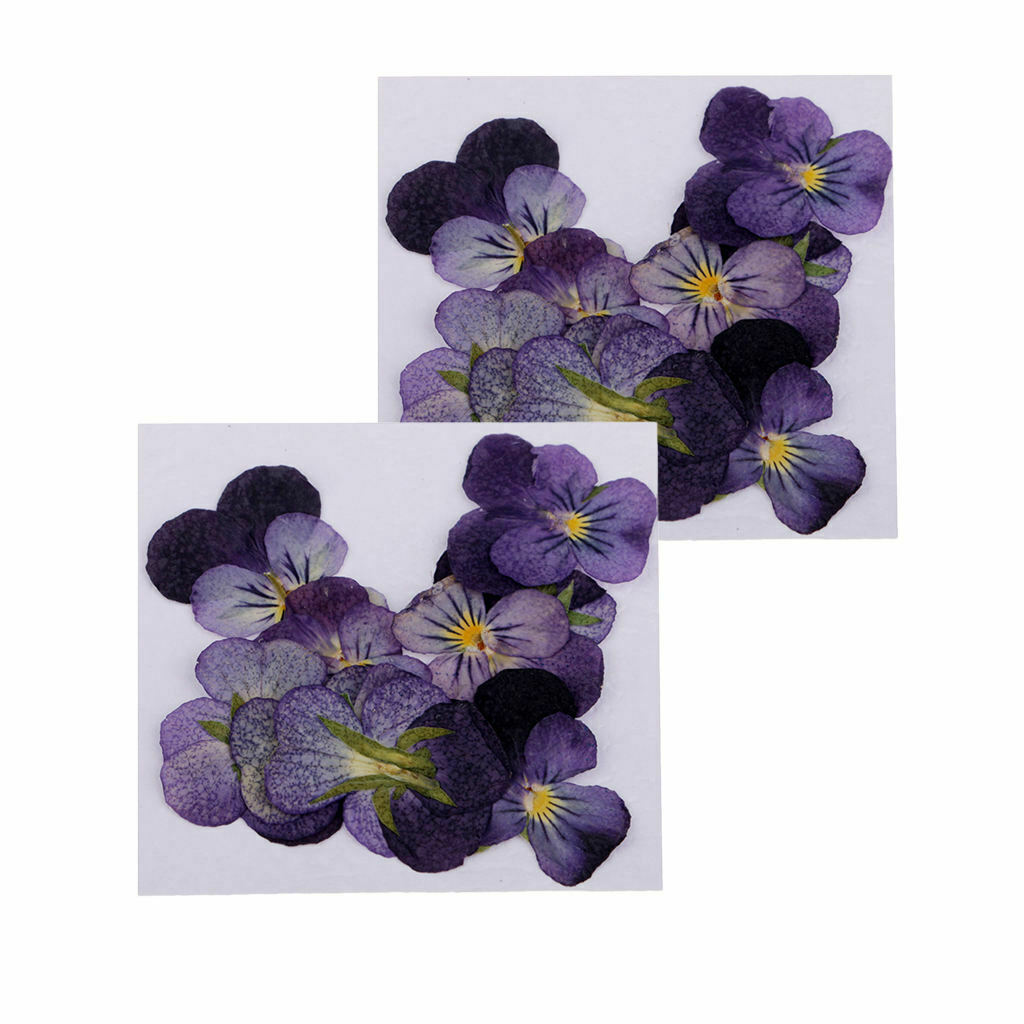 24Pcs Dried Pressed Flowers DIY Real Dried Flower Jewelry Making Specimen