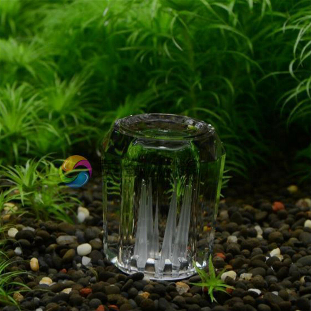 8Hole snail trap free bait for aquarium fish plant tank Planarian leech Ca.l8