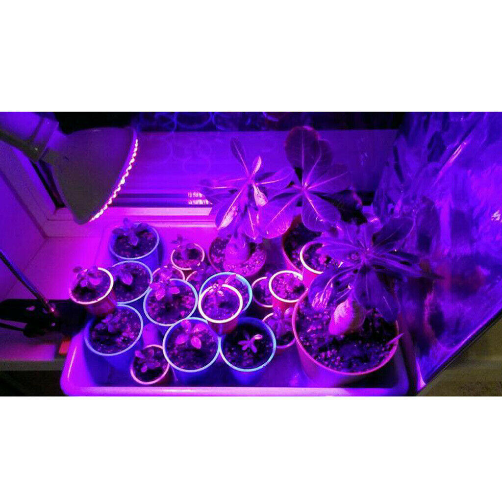 LED Grow Light Bub Fruit Flower Plant Grow Lamp for Indoor Plants  1