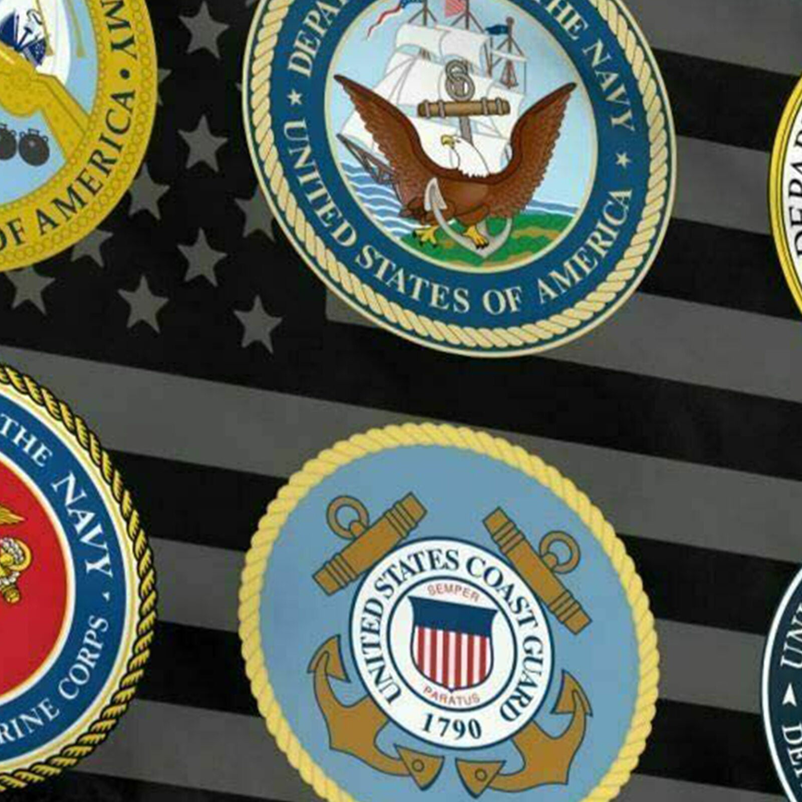 3x5 Armed Forces Military Service Six Branches Space Force Veteran 100D Flag