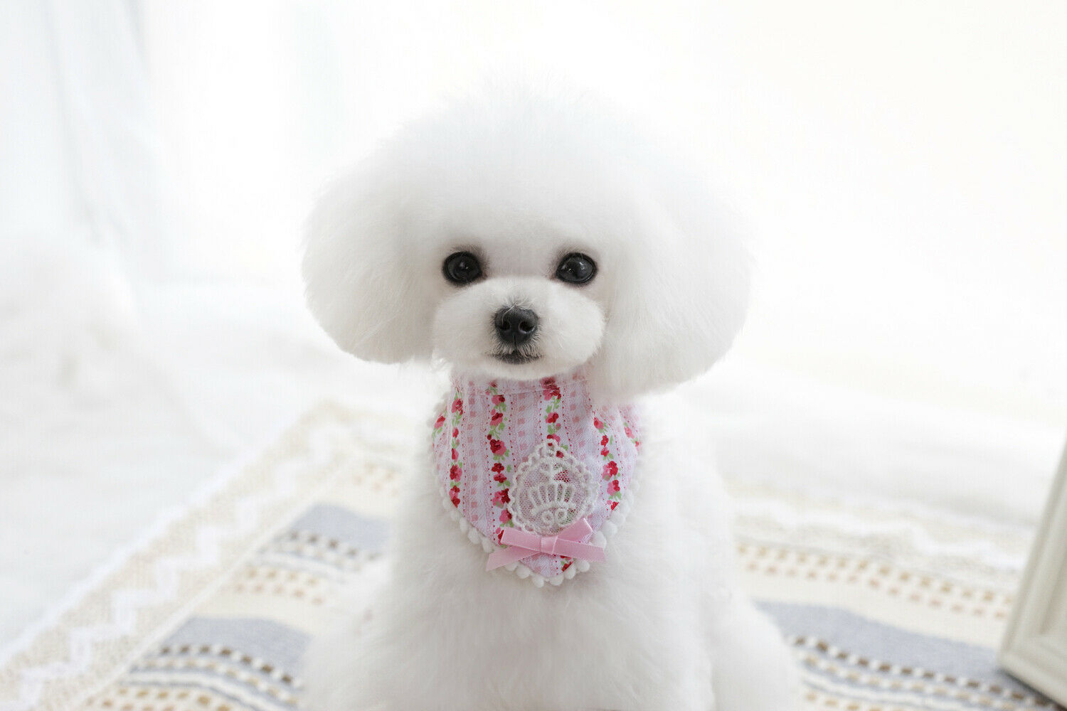 Pink Floral Pattern Dog Collar Lace Bowtie Stretchable Puppy Saliva Towel-S