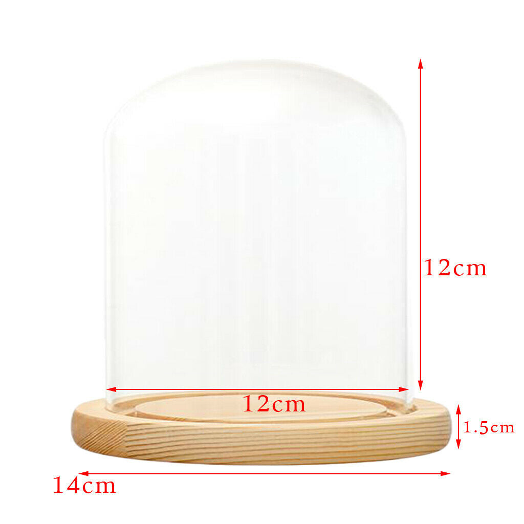 Clear Glass Display Dome with LED Wood Base Microlandscape Holder E 12x12cm