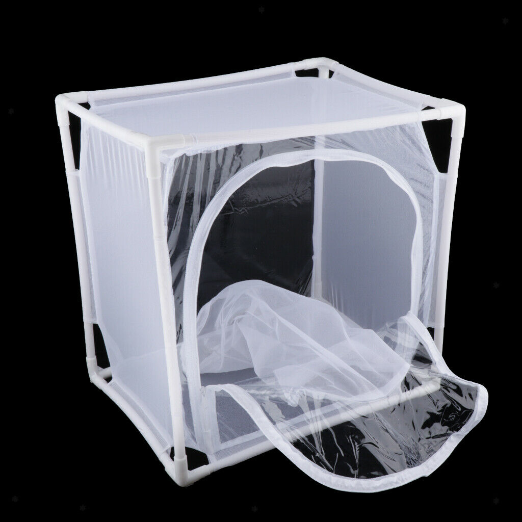 Terrarium cage for mosquito nets butterflies insect butterflies