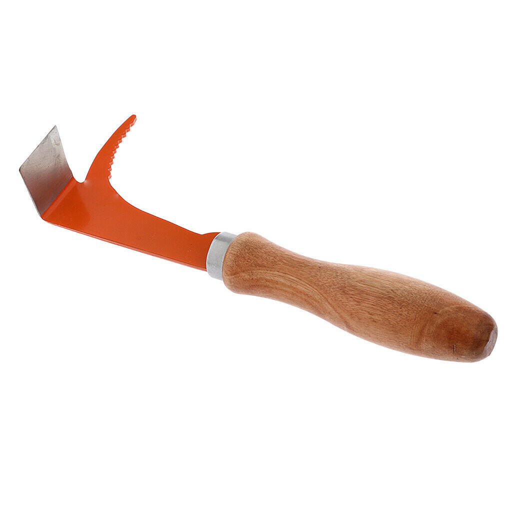 Best Choice Bee Hive Scraper Tool Two in One Stainless Steel for Beekeepers