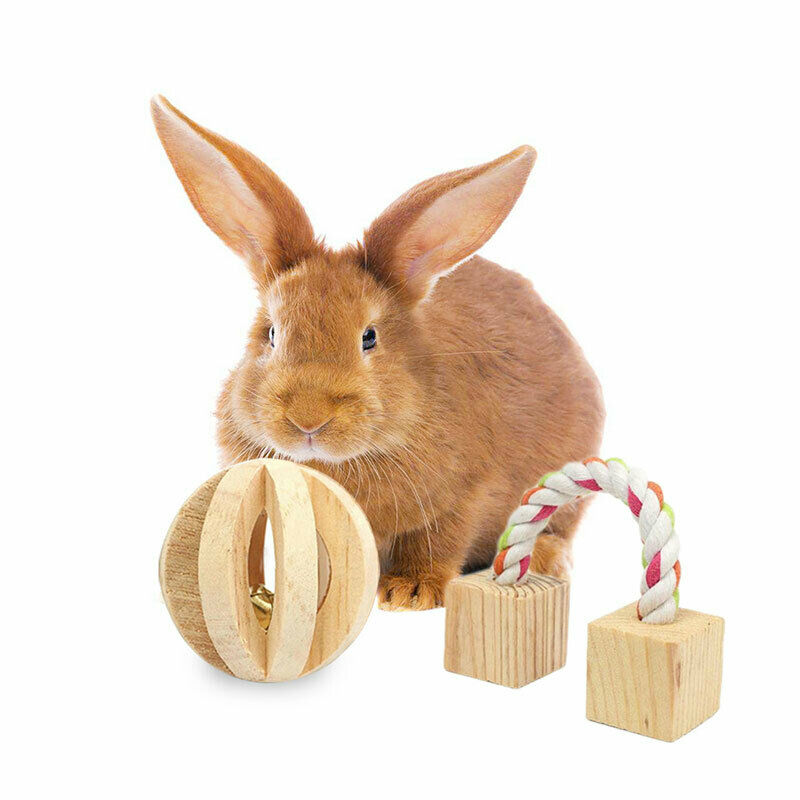 5Pcs/set Natural Wooden Rabbits Toys Chew Toys for Small Pet Molars SuppliesBIA
