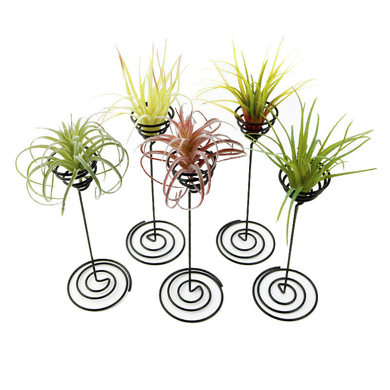 Metal Art Air Pineapple Base Plant Flower Pot Rack Decor Landscape Access.l8