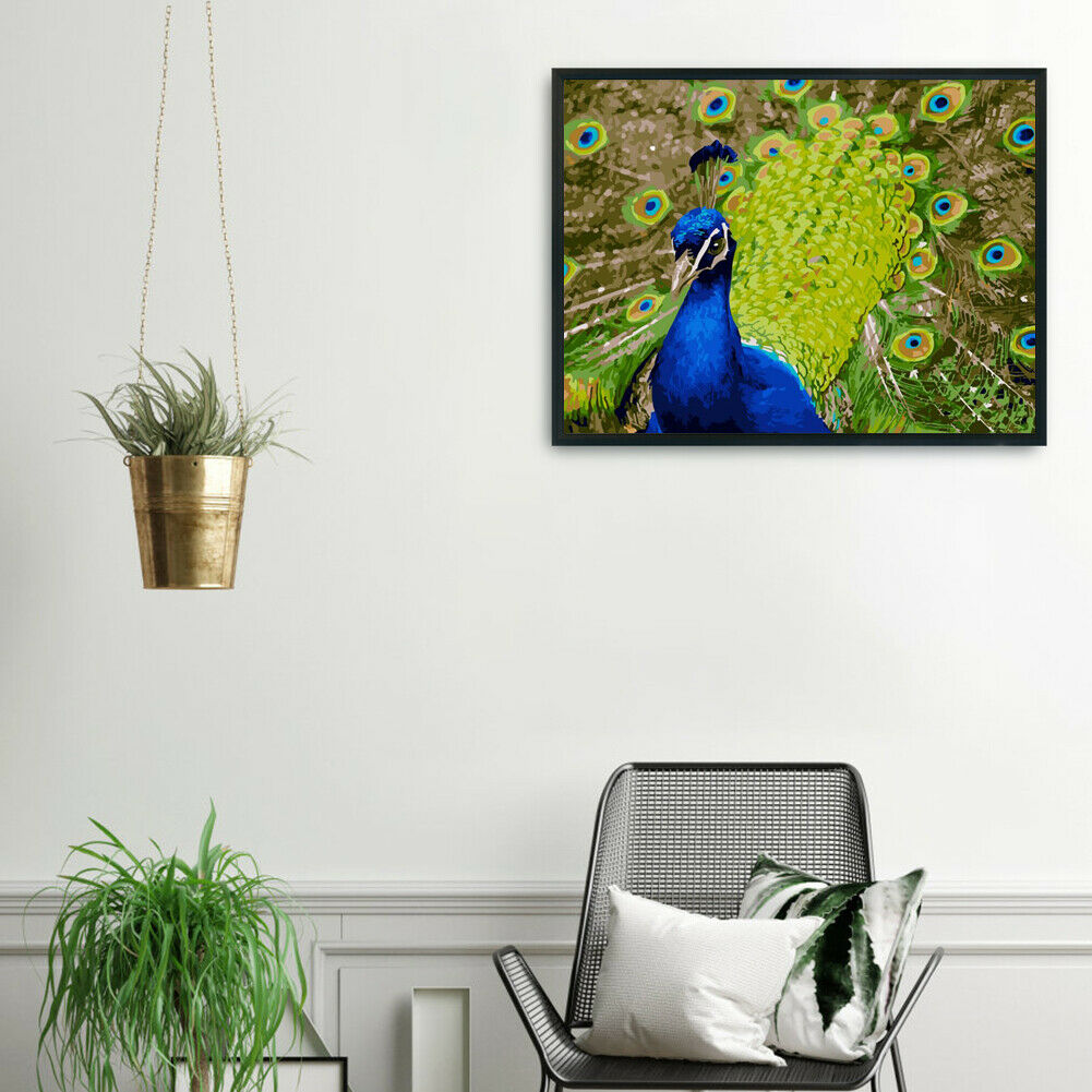 DIY Digital Painting By Numbers Peacock Frameless Canvas Picture Home Decor @