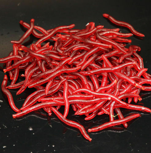 100 Pcs Soft Red Earthworm Fishing Bait Worm Lures Crankbaits Hooks Tackle Baits