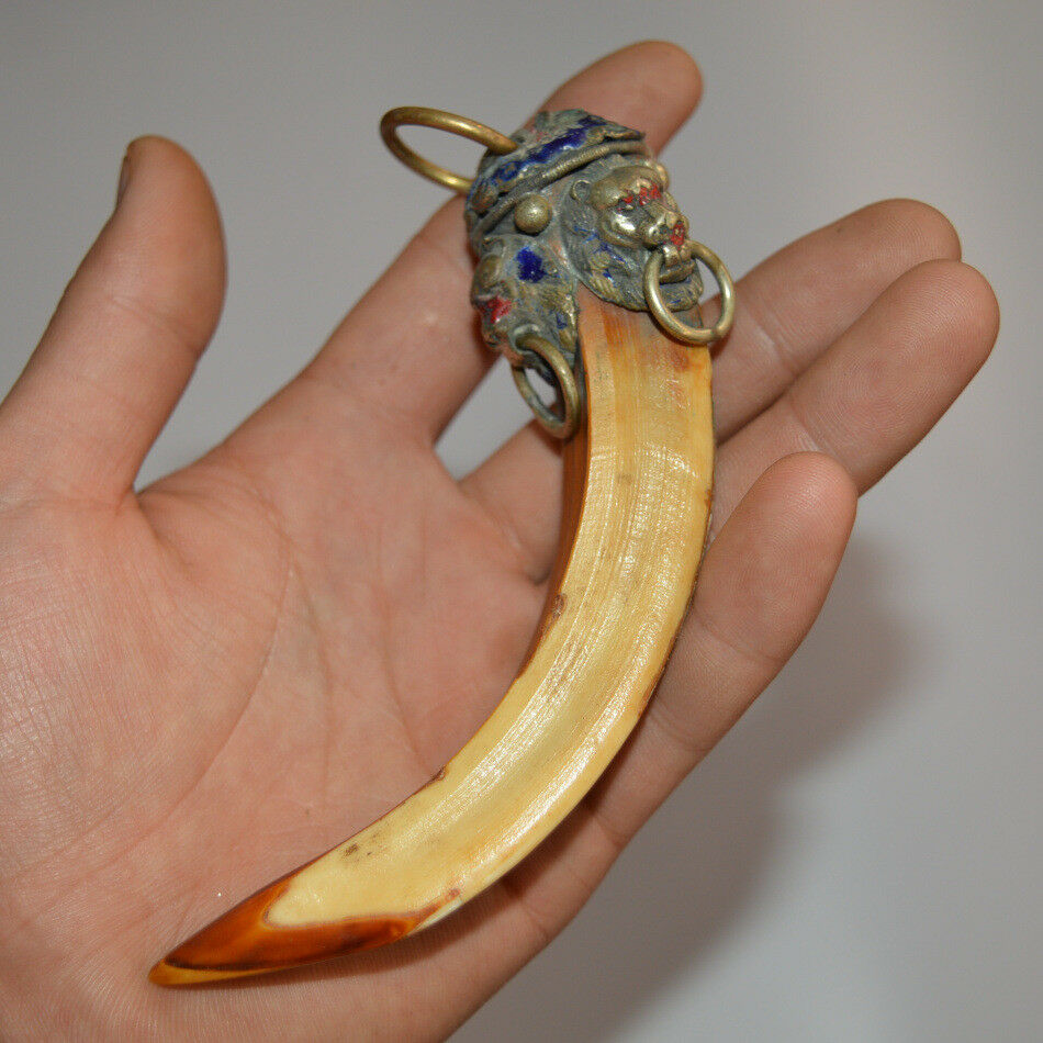 1pcs Pig fangs teeth bless peace Domineering Amulet eliminate Enamel lion head