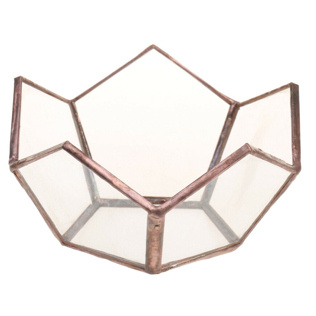 Artistic Open Glass Geometric Terrarium Tabletop Succulent Plant Box Pot