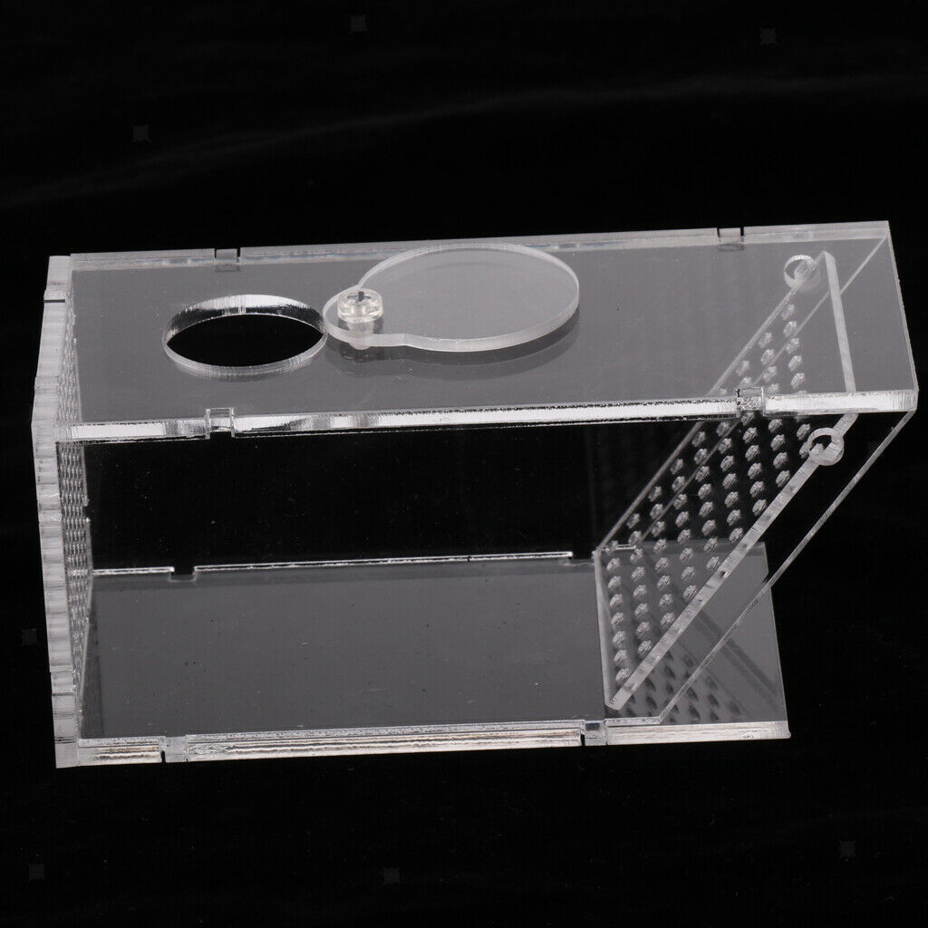 Clear Aquarium   Catcher Bait Box Aquatics Pest Trap Snail Trap, 14x6x6cm