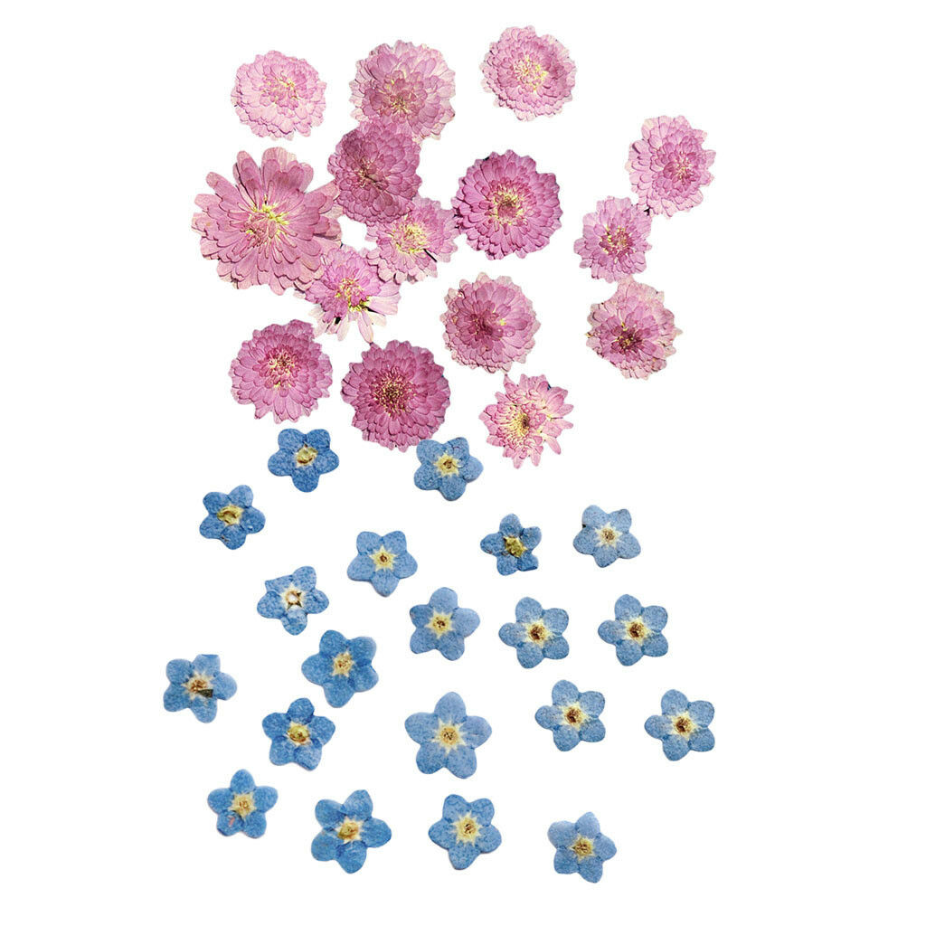 20x Small Pressed Real Dried Flowers Leaves DIY Jewelry Card Album