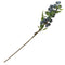 Plants Flowers Fruits Bunch for Photo Prop Table Centerpieces Dark Green Decor