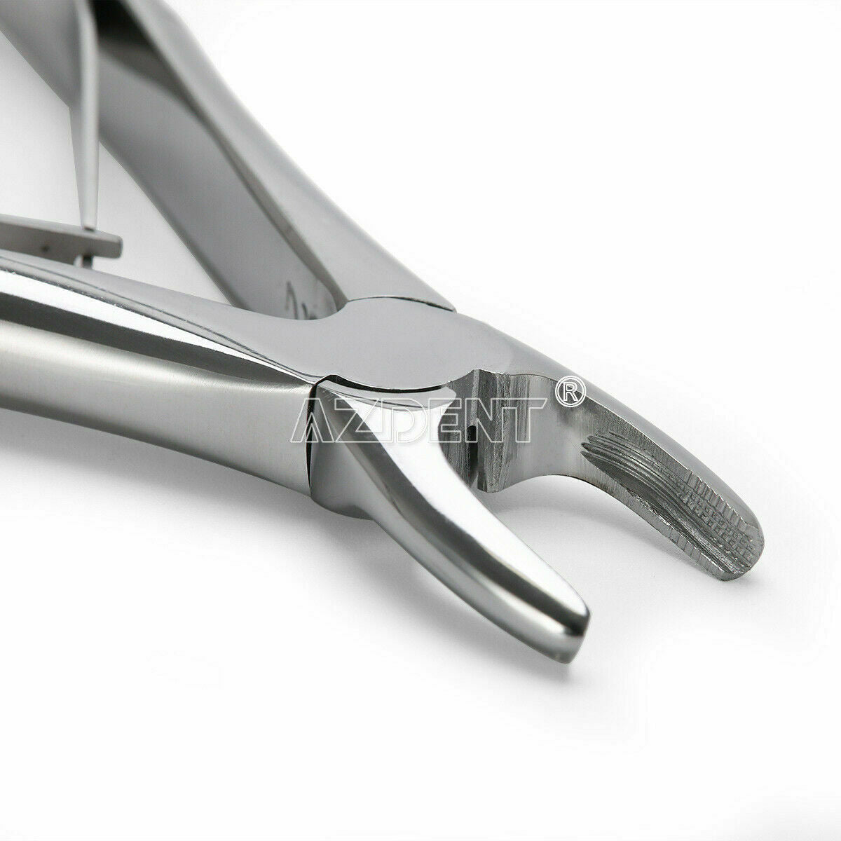 7Pcs Dental Surgical Extraction Tooth Extracting Forceps Plier Stainless Steel