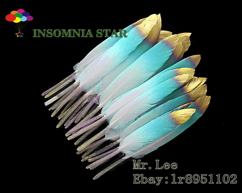 100pcs Beautiful Blue lake Colorful Natural Goose Feather 10-15cm/4-6 inches