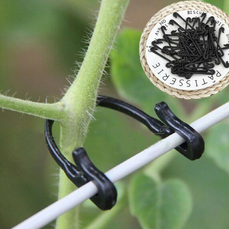 50x Vines Fastener Tied Buckle Plant Vegetable Grafting Clips Agricultural Rf