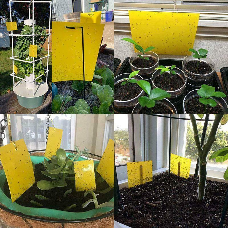 30 Pack Dual-Sided Yellow Sticky Traps for Flying Plant Insect (10x4 Inch, 30pcs