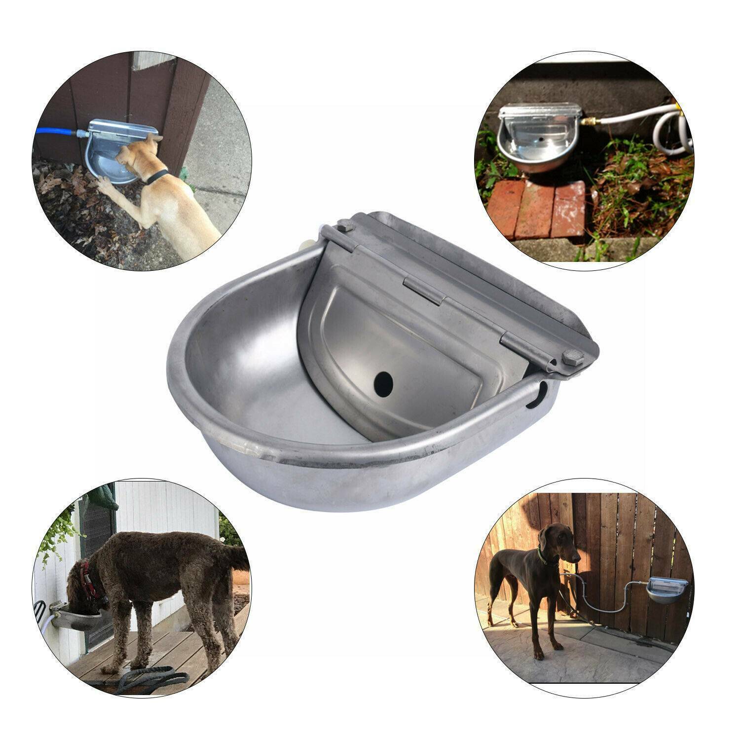Type of Horse Cattle Sheep Farm-Level Automatic Waterer Stainless Steel Waterer