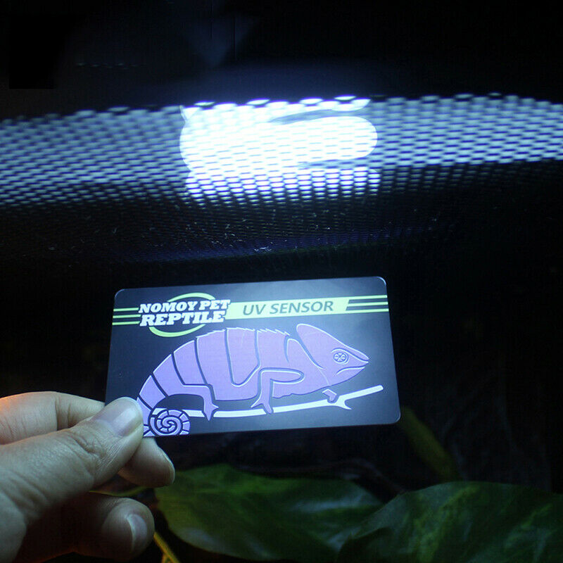 10 Seconds Detection Of Crawler Pet UVB UV Test Card UV Life Detection Repti DF