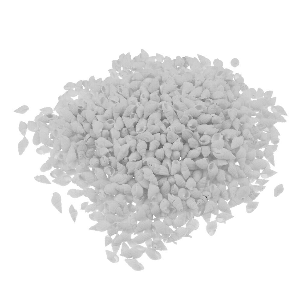 500g Mixed Sea Beach Shells Craft Seashells Aquarium Fish Tank Decor #1 500g