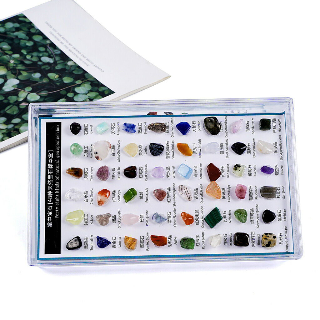 48x Mixed Natural Collection Stone Decoration Stones Quartz Crystal Mineral