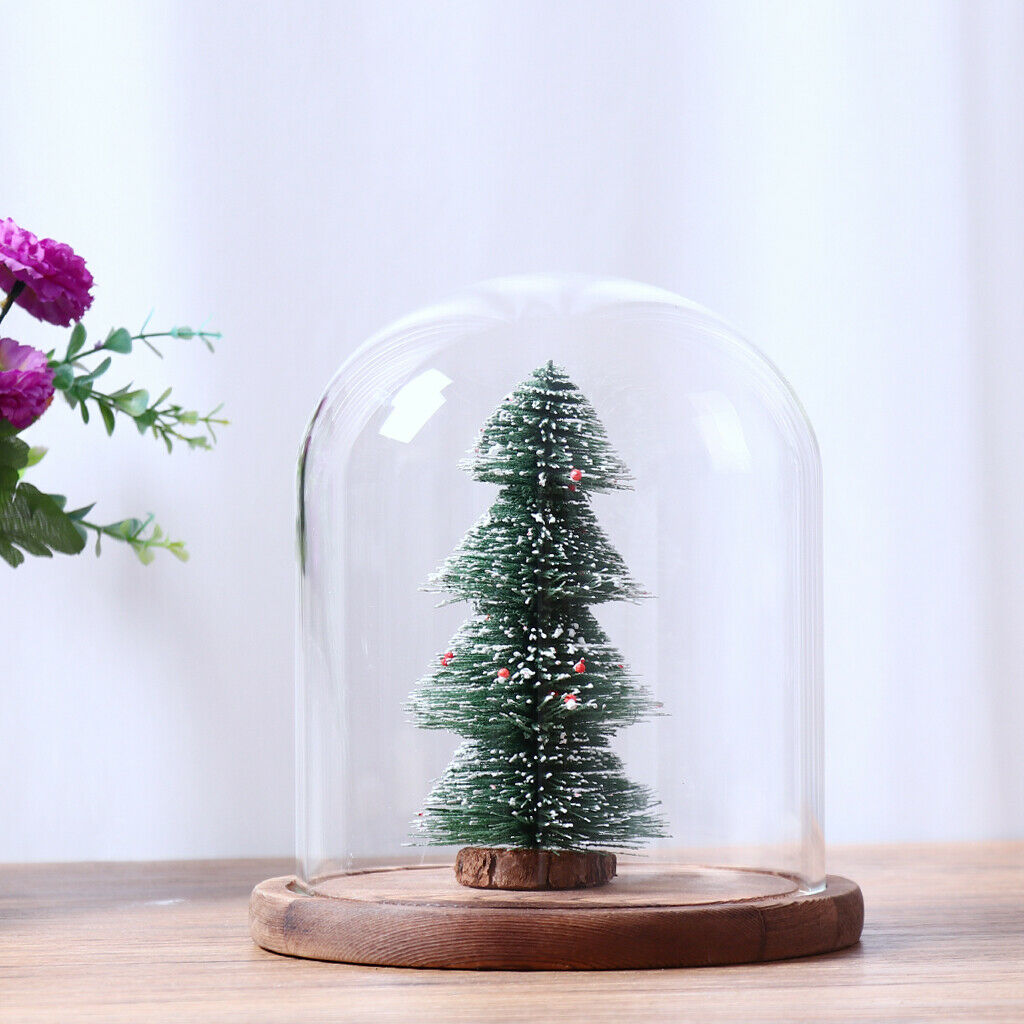 18cm  Transparent Stand Glass Flower Vase Landscape Bottle Ball Vase