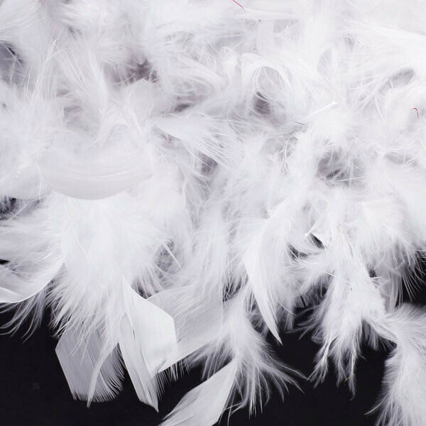 White Feather   Craft Decoration 6.6 Feet Long