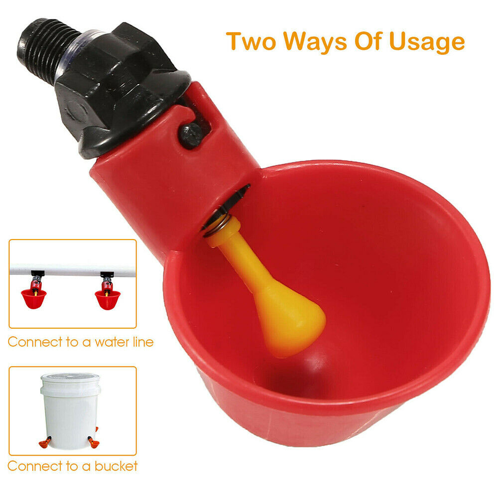 5PCS Poultry Drinking Watering Cups for Chicken/Quail Water Cups Drinker