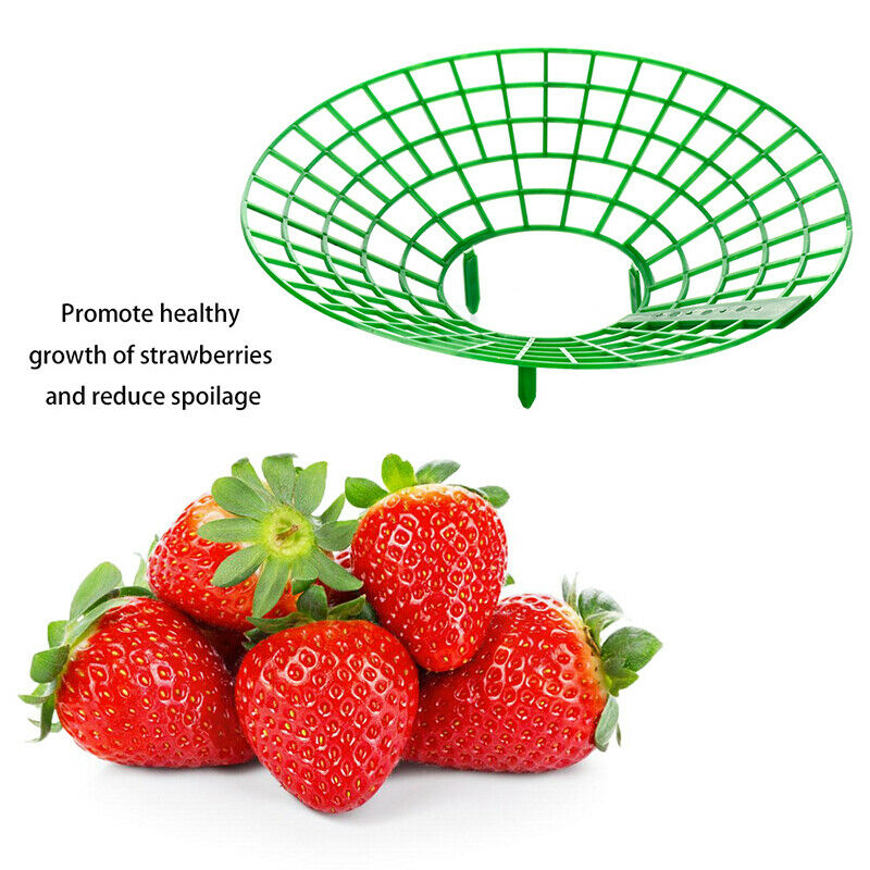 3pack Strawberry Frame Holder Balcony Planting Rack Support Climbing Vine StBDA