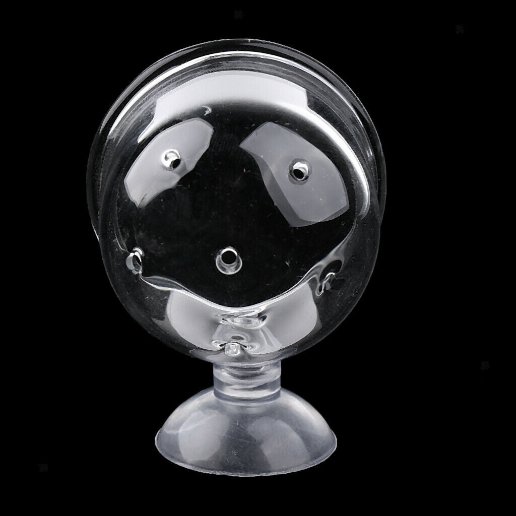 5x Aquarium Tank Glass Fish Feeder Snail Trap Planarian Leech Catch Pinhole