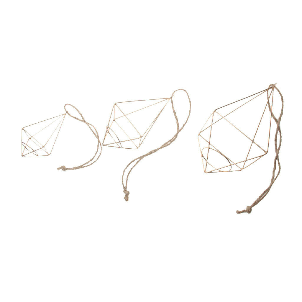 Metal Brass Hanging Tillandsia Air Plant Rack Holder Geometric Hanging Decor