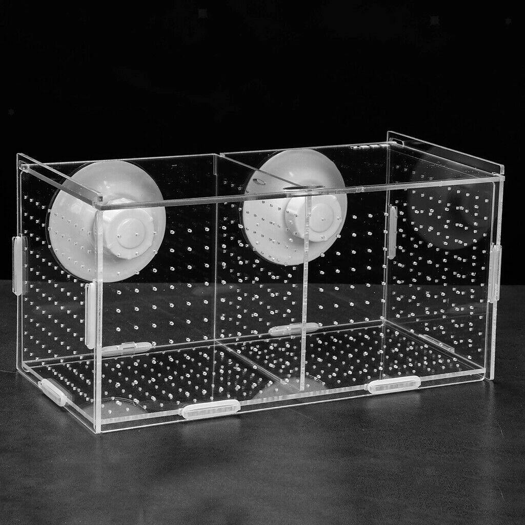 Aquarium Pet Fish Tank Guppy Breeding Breeder Rearing Box Hatchery #1
