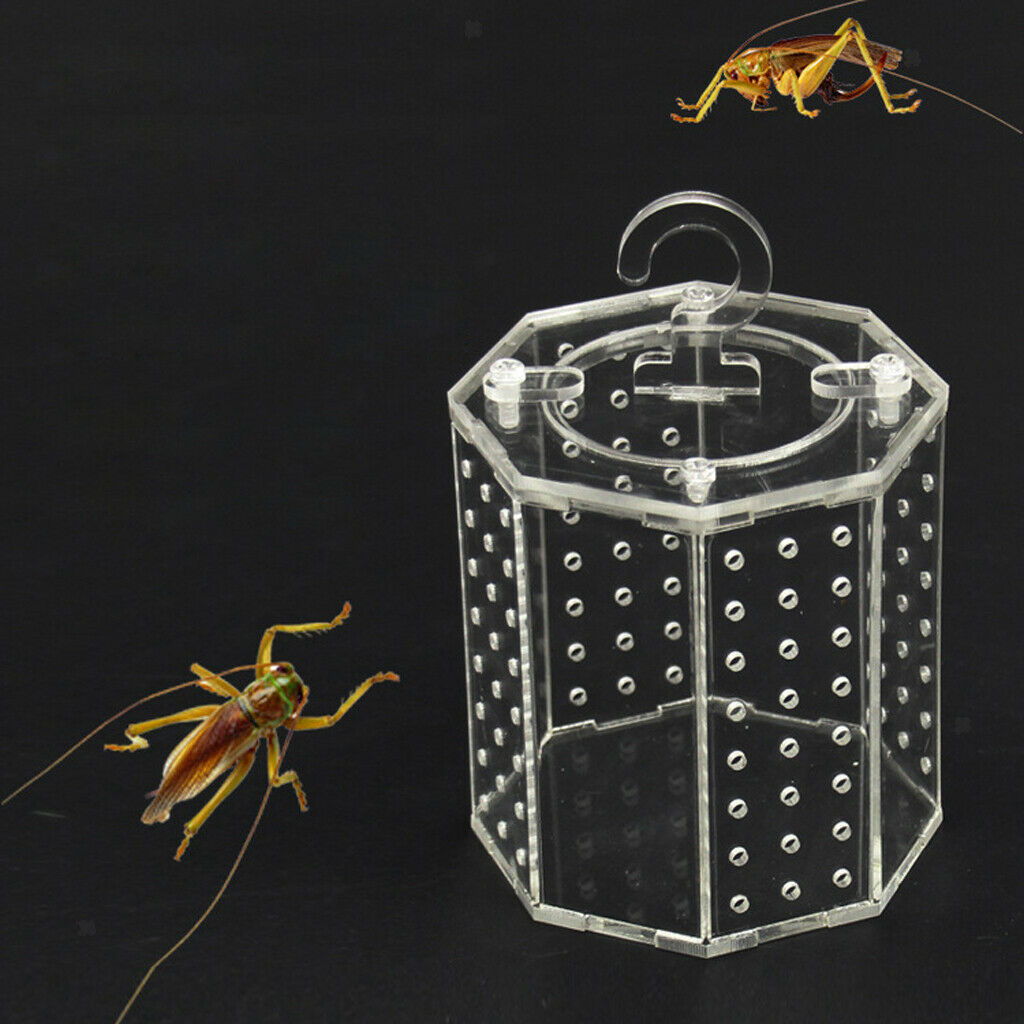 Acrylic Reptile Tank Vivarium Cage Spider/Grasshopper/Cricket Cage 9.8 x 10cm