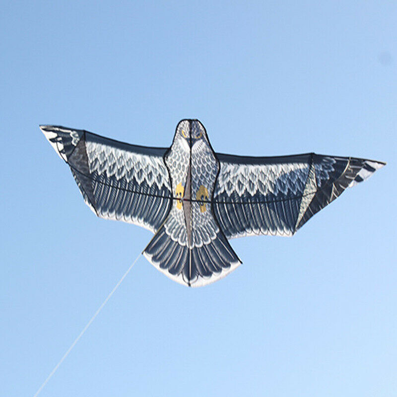 New Huge 1.5m Eagle Kite single line Novelty animal Kites Children's toys US HOT
