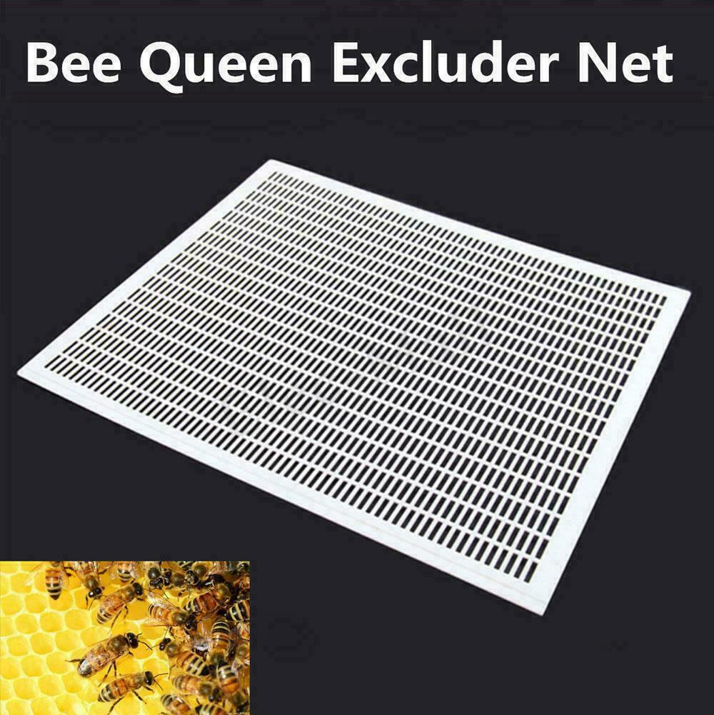 1 X Queen Bee Eliminator Frame Beekeeping Equipment Trap Net Top Grid Top Roof