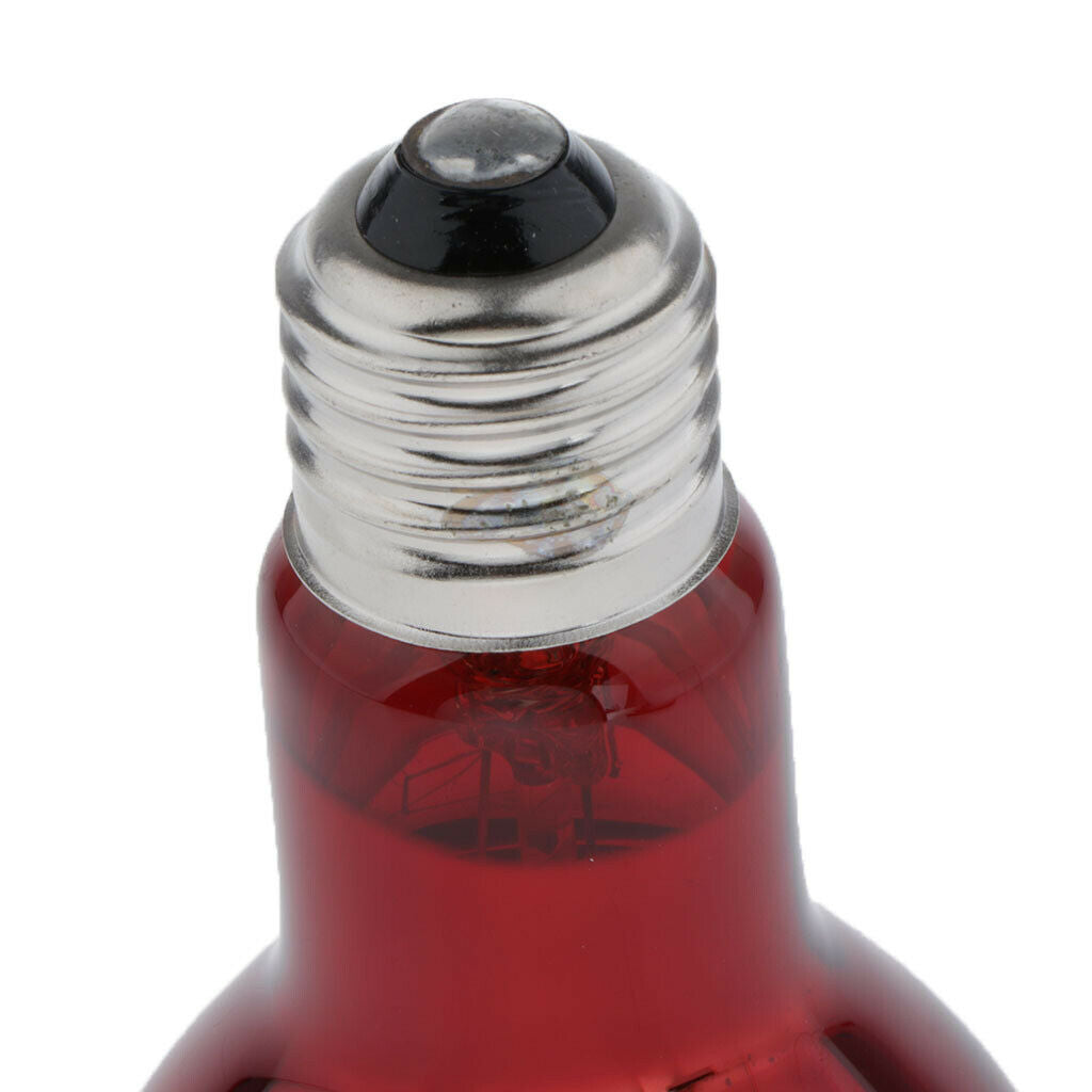 2Pieces Reptile Heat Lamp Heater Terrarium Turtle Screw-In 220-240V 50W/75W