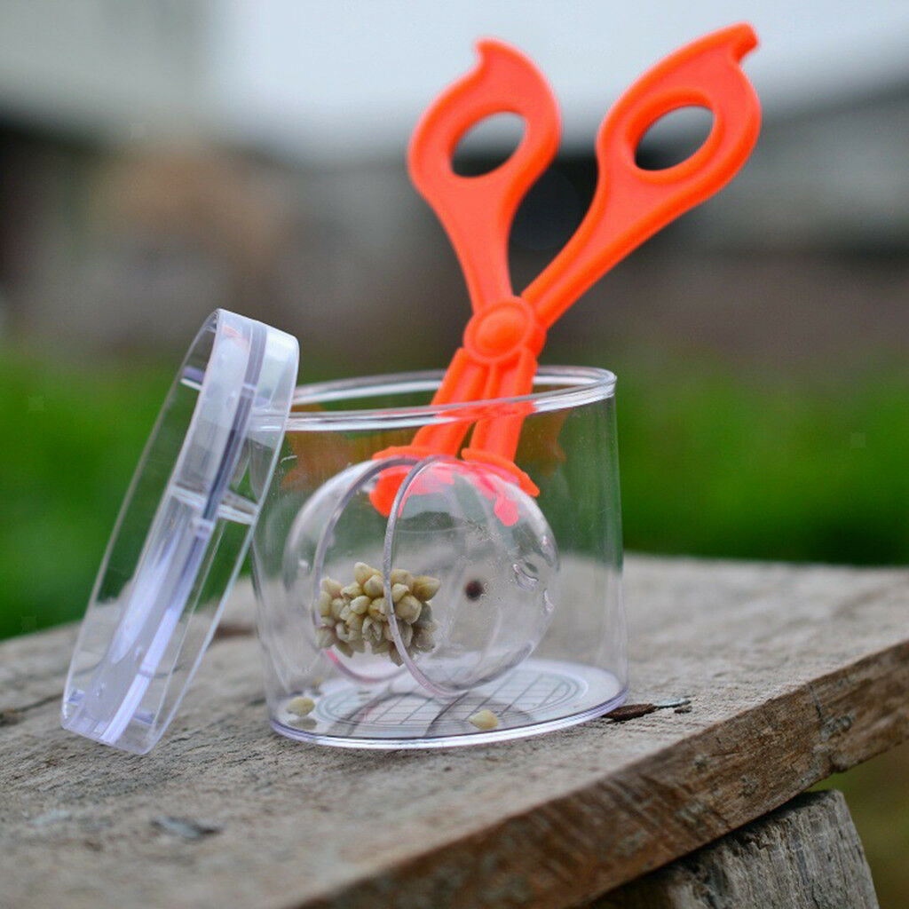 2pcs/set Scissor Clamp & Tweezers Kit for Kids Outdoor Exploration Playing