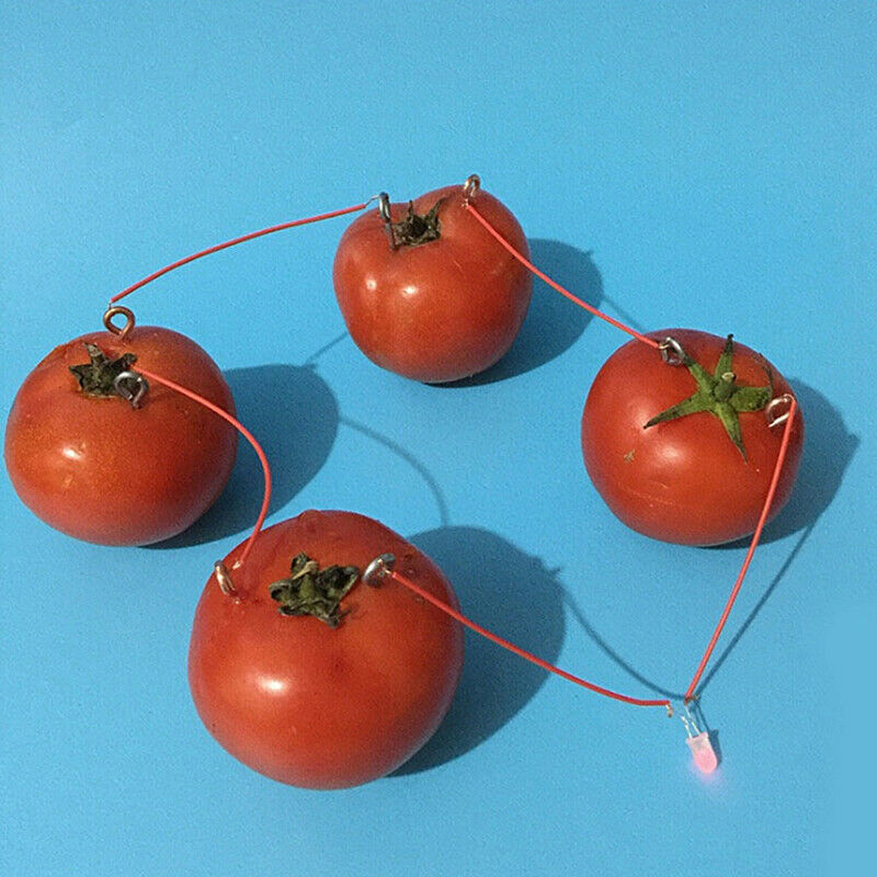 1 Set Children Bio Energy Science Kit Fruit Supply Electricity Experiments T.DD