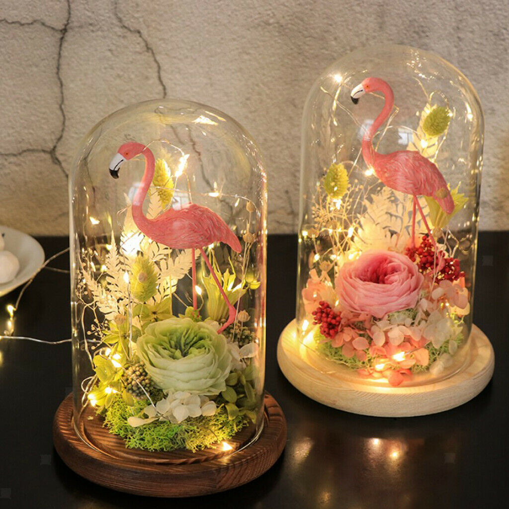 5Pcs 7x12cm Decorative Clear Glass Display Dome Cloche Bell Jar Brown