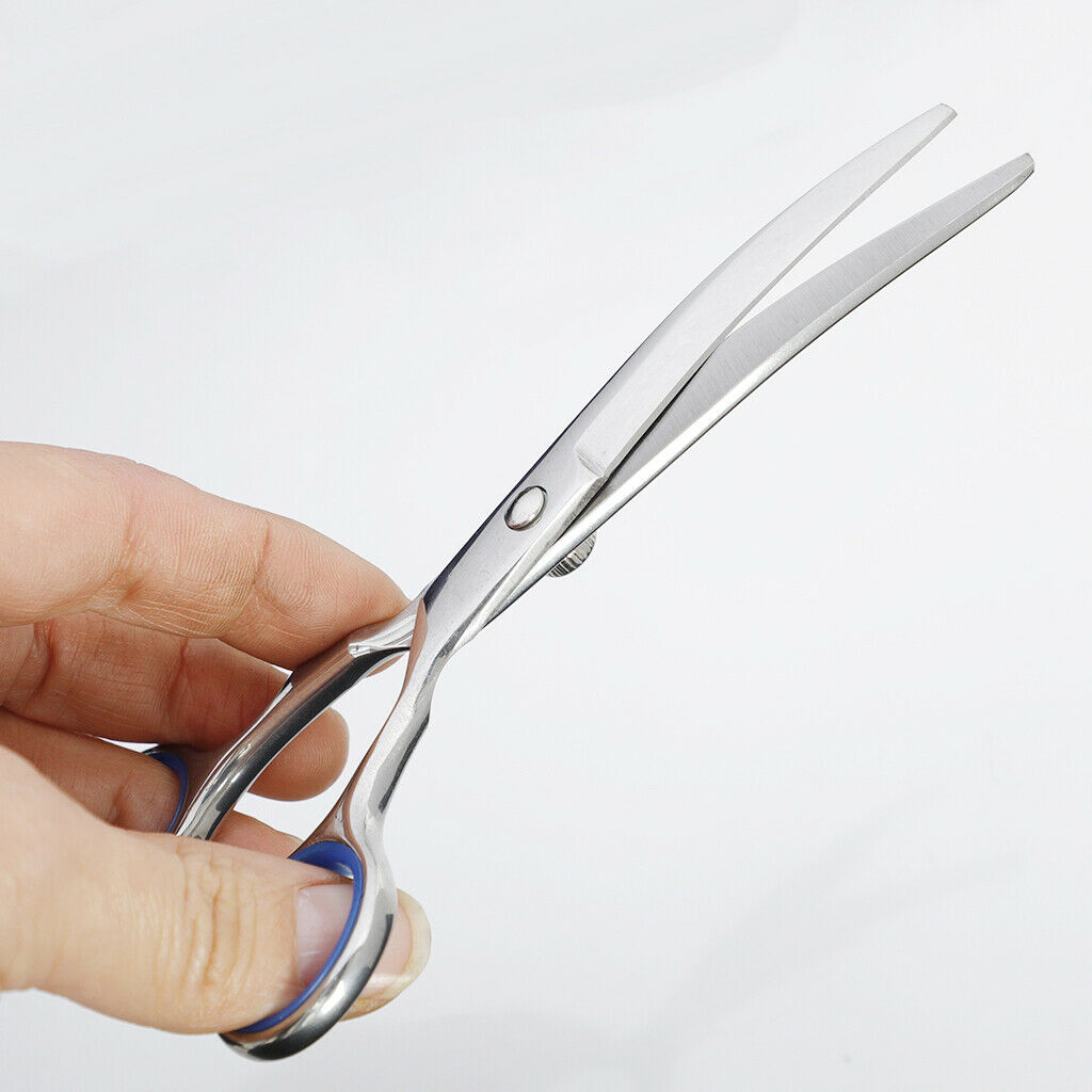 6 inch Hairdressing Scissors Barber Scissor Salon Tool Hair Cutting Razor Sharp