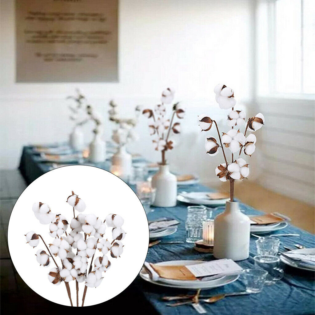 Dried Cotton Stems Table Centerpieces Vase Filler for Decor 7 Bolls 6pcs