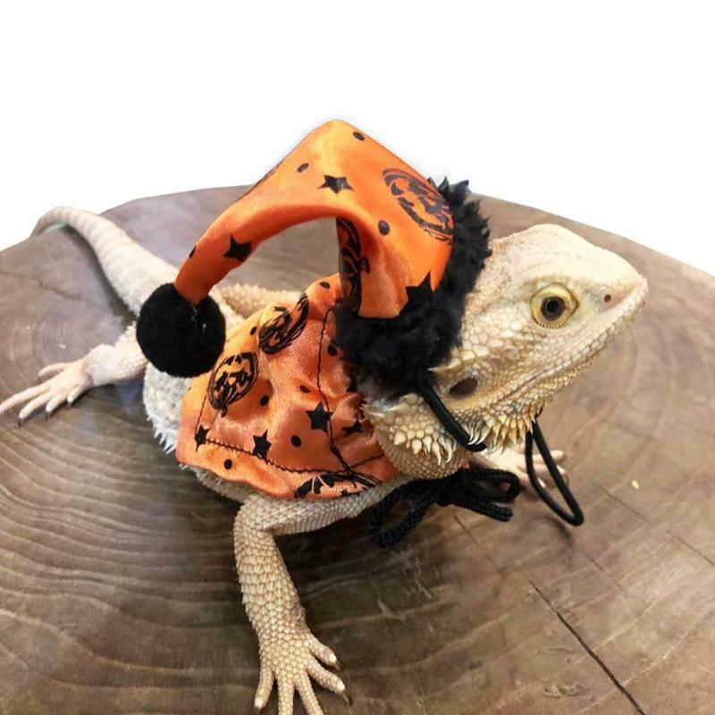 Bearded Dragon Costume Set Orange Hat and Cloak Lizard Clothes Resizable