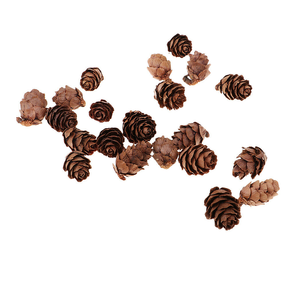 100x Decorative Pinecone Pine Cone Vase Bowl Filler Display Table Decoration