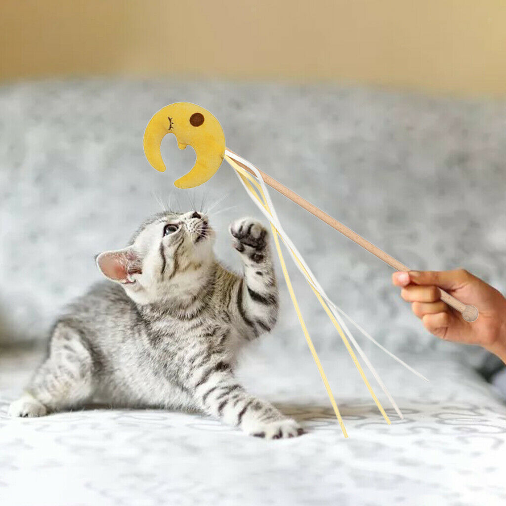 Cat Stick Toys Kitten Pet Interactive Wand Starry Sky Ribbon String Toys Moon